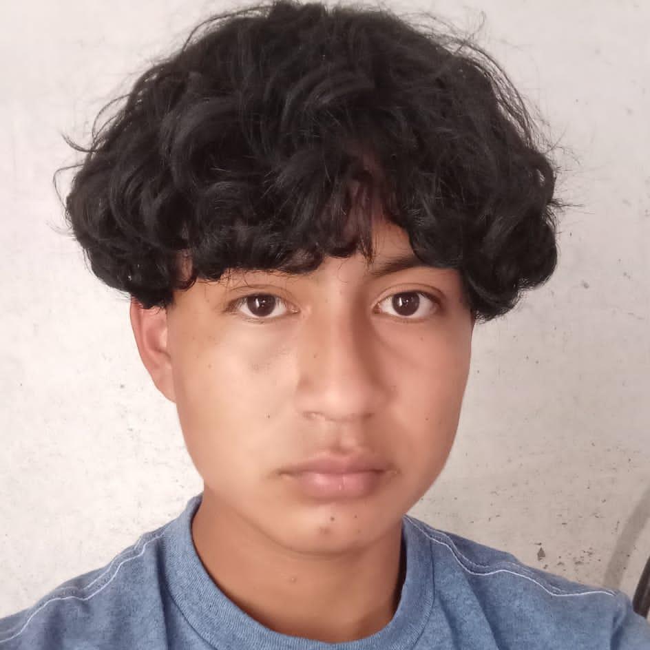User Image