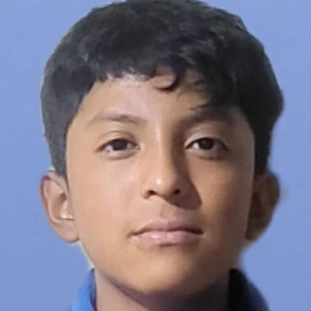User Image