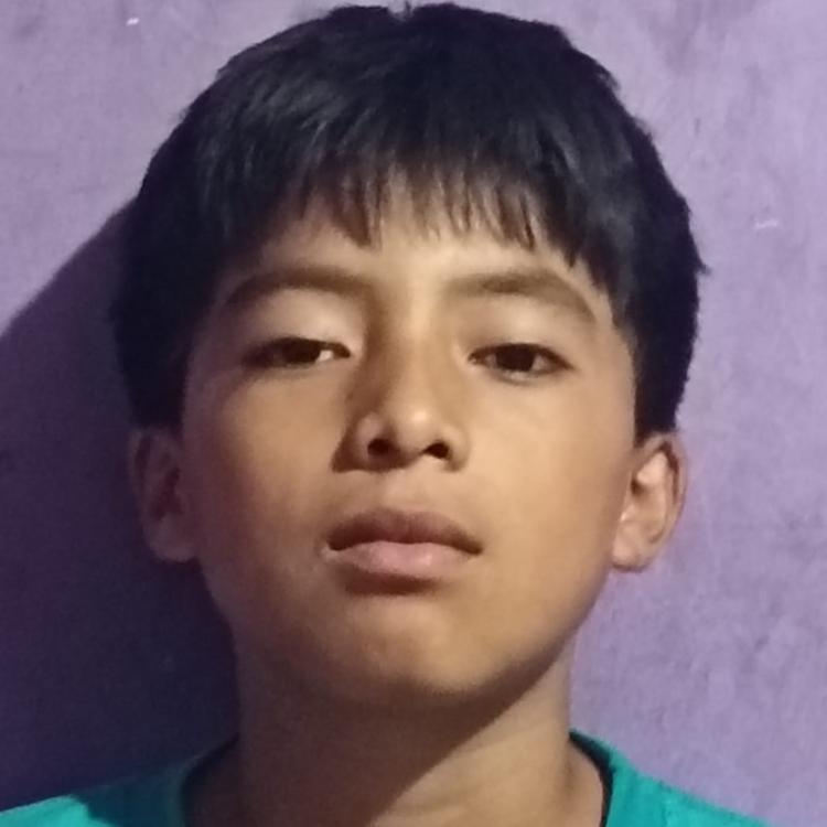 User Image